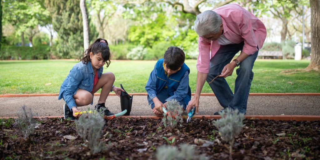 Cómo diseñar un jardín sostenible en casa